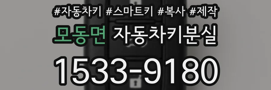 모동면 자동차키분실