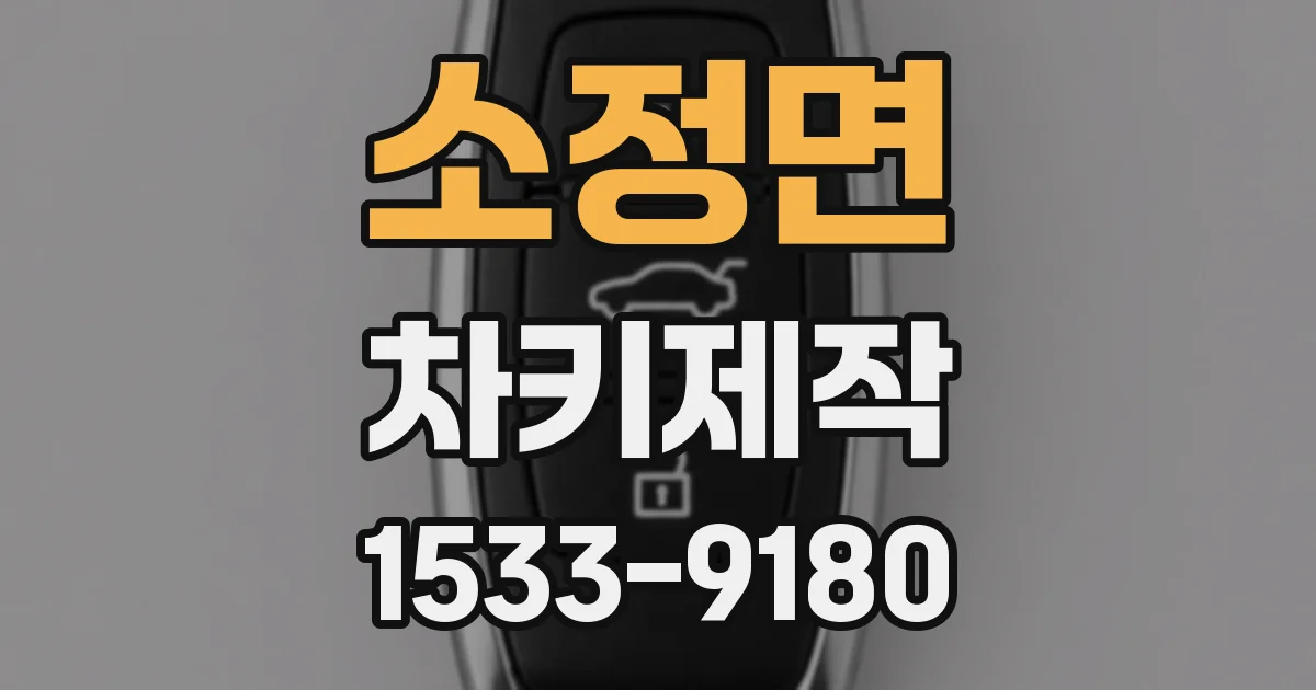 소정면 차키제작