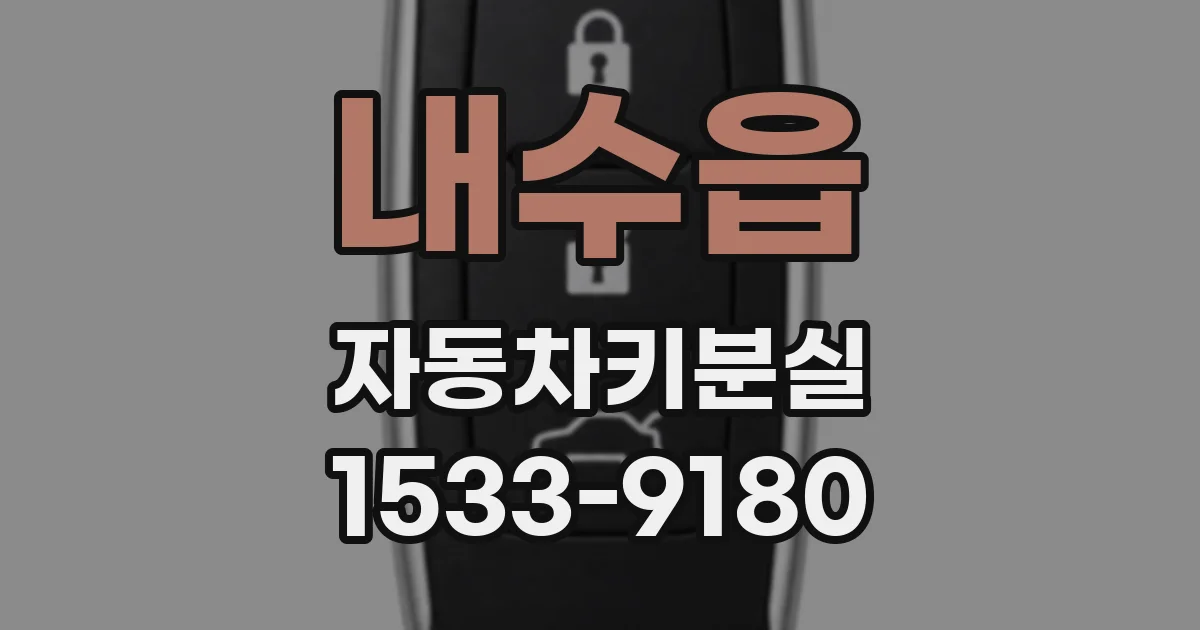 내수읍 자동차키분실