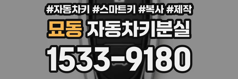 묘동 자동차키분실