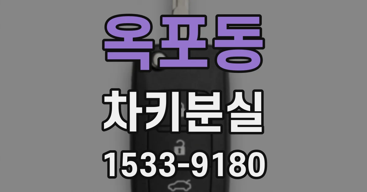 옥포동 차키분실