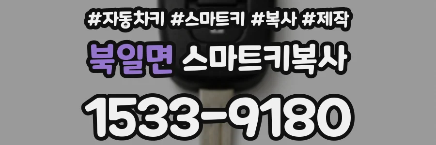 북일면 스마트키복사