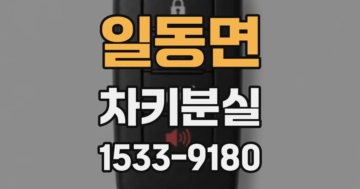 일동면 차키분실