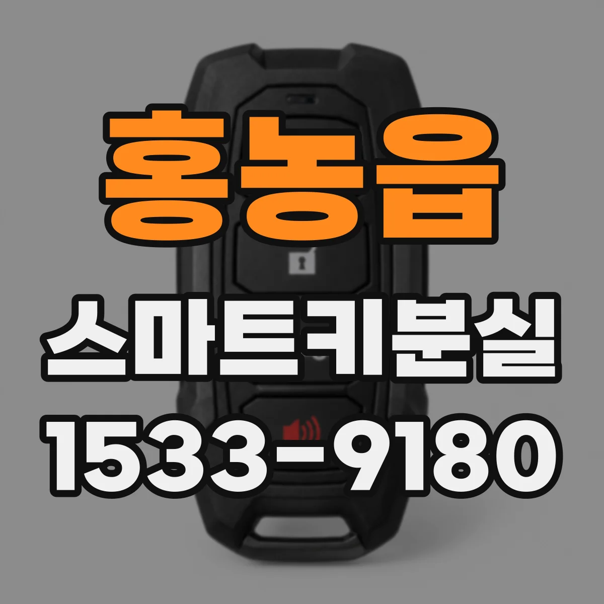 홍농읍 스마트키분실