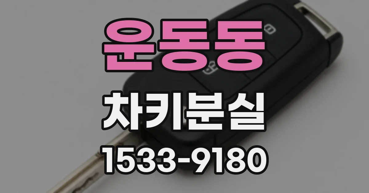 운동동 차키분실