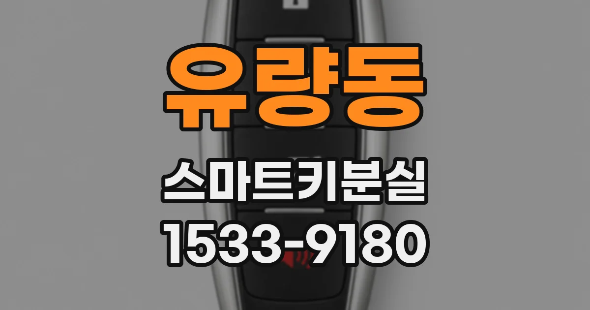 유량동 스마트키분실