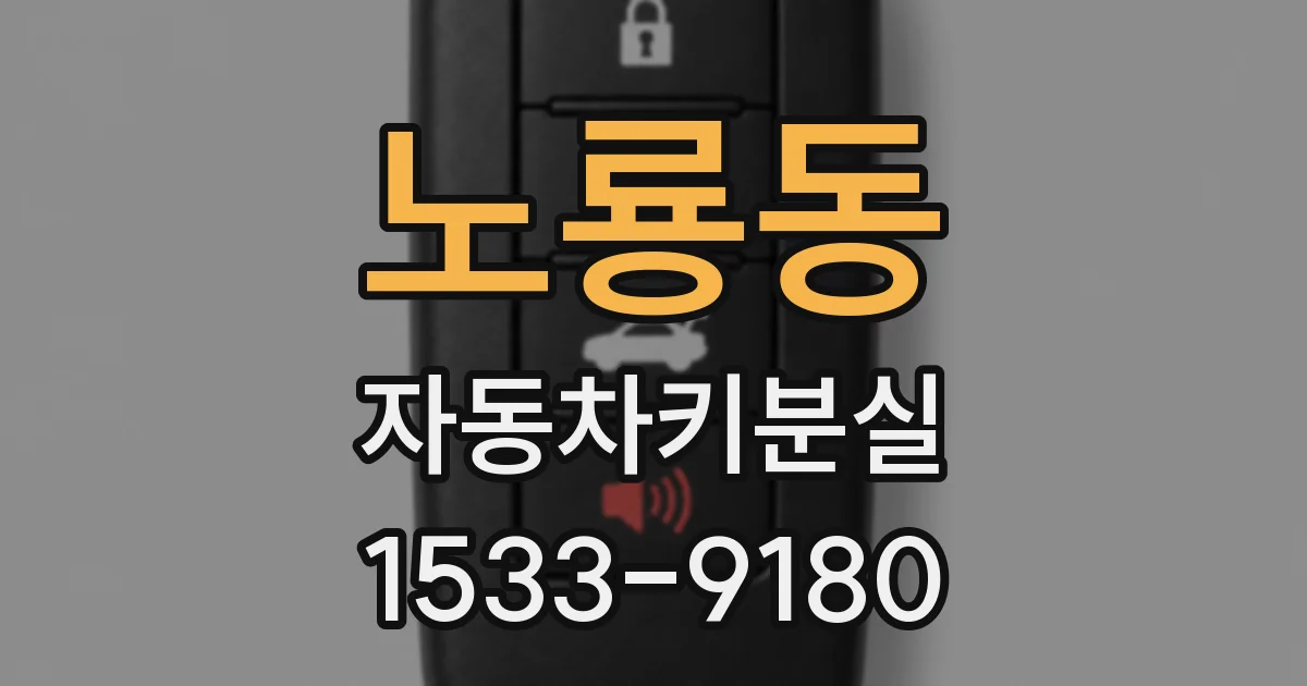 노룡동 자동차키분실