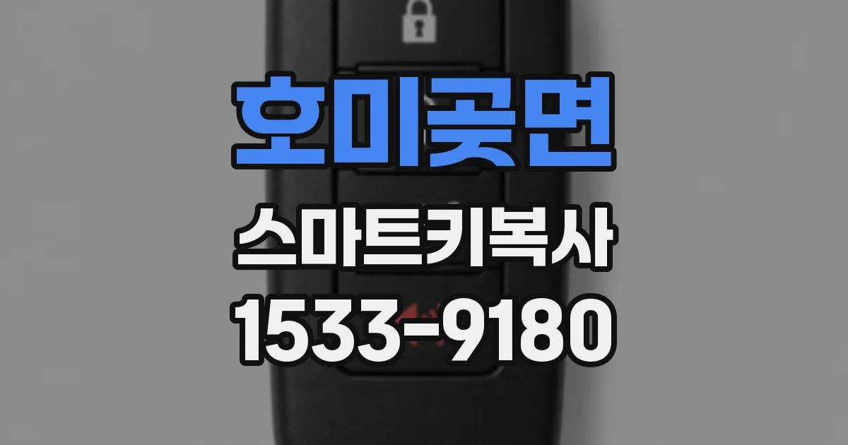 호미곶면 스마트키복사