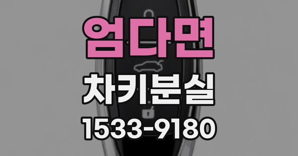 엄다면 차키분실