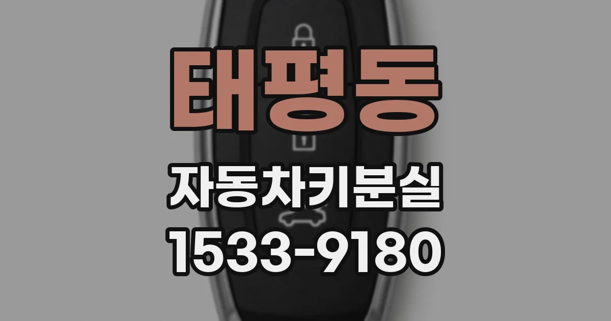 태평동 자동차키분실