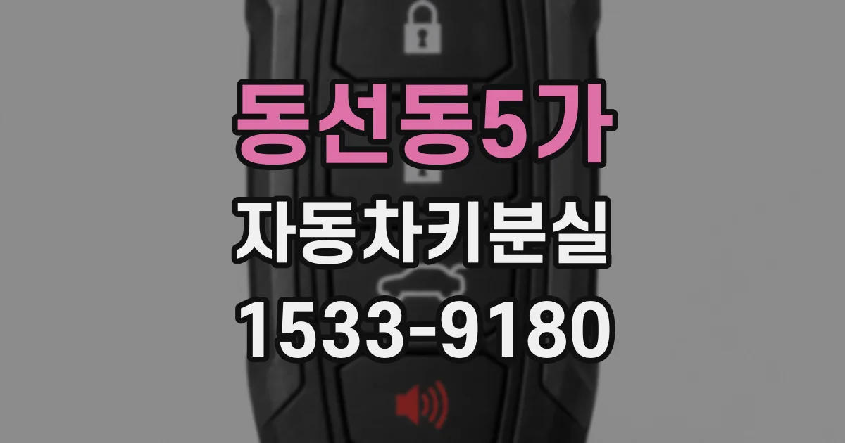 동선동5가 자동차키분실