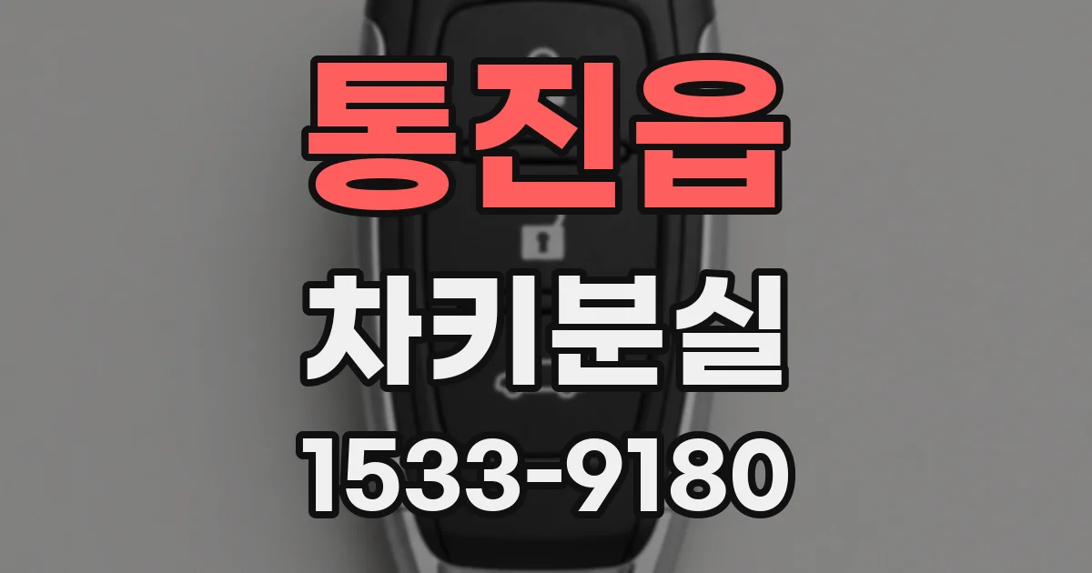통진읍 차키분실