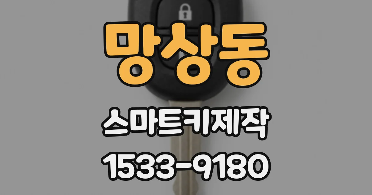 망상동 스마트키제작