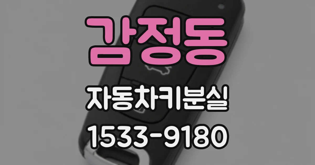 감정동 자동차키분실