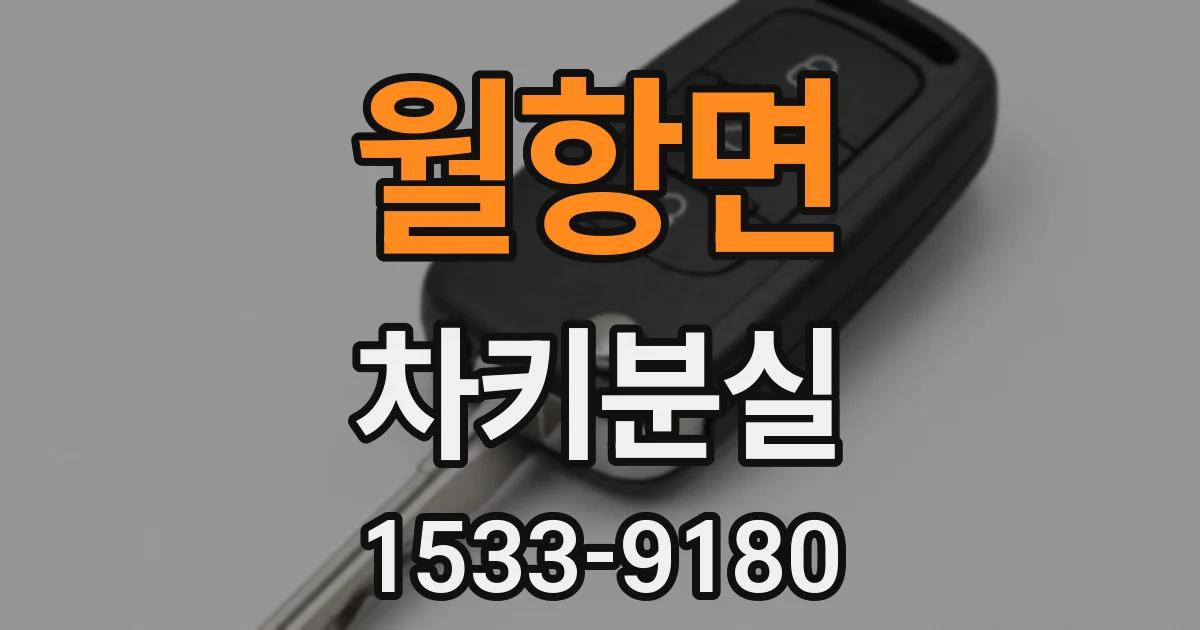 월항면 차키분실