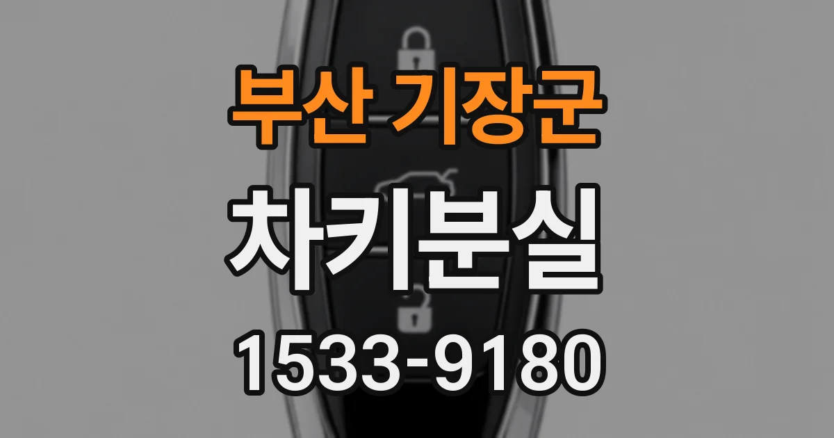 부산 기장군 차키분실
