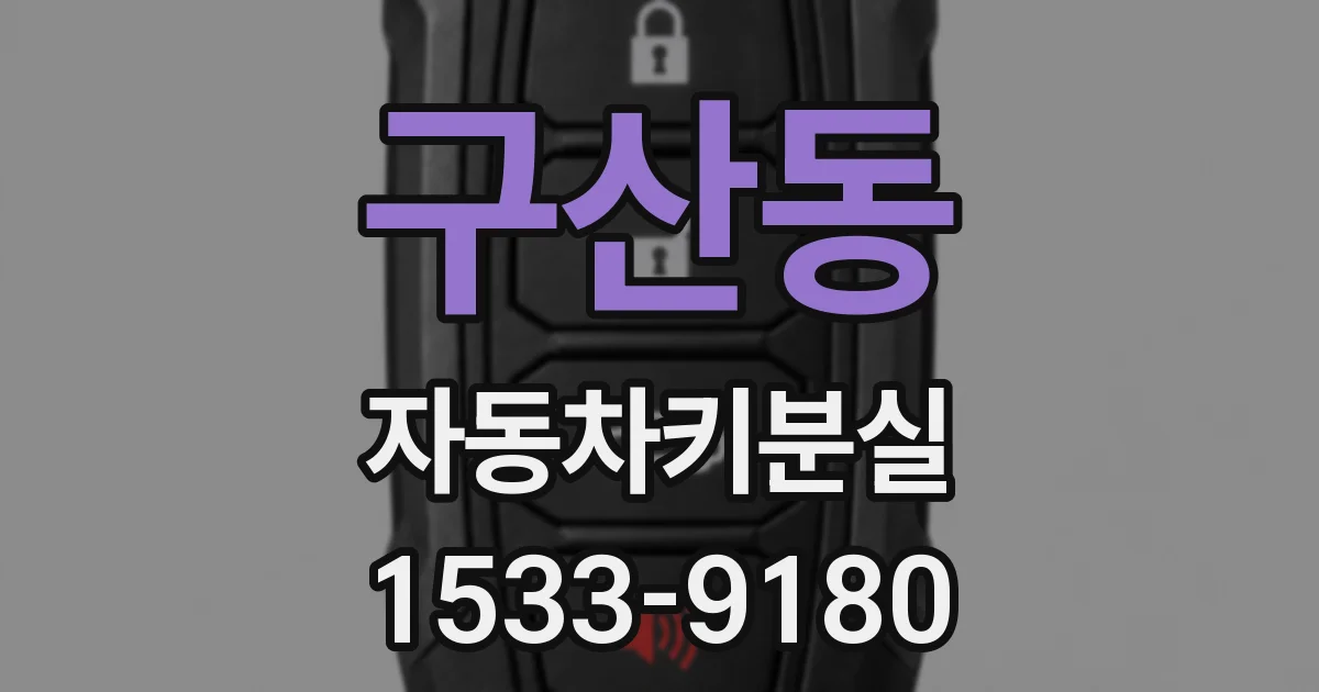 구산동 자동차키분실