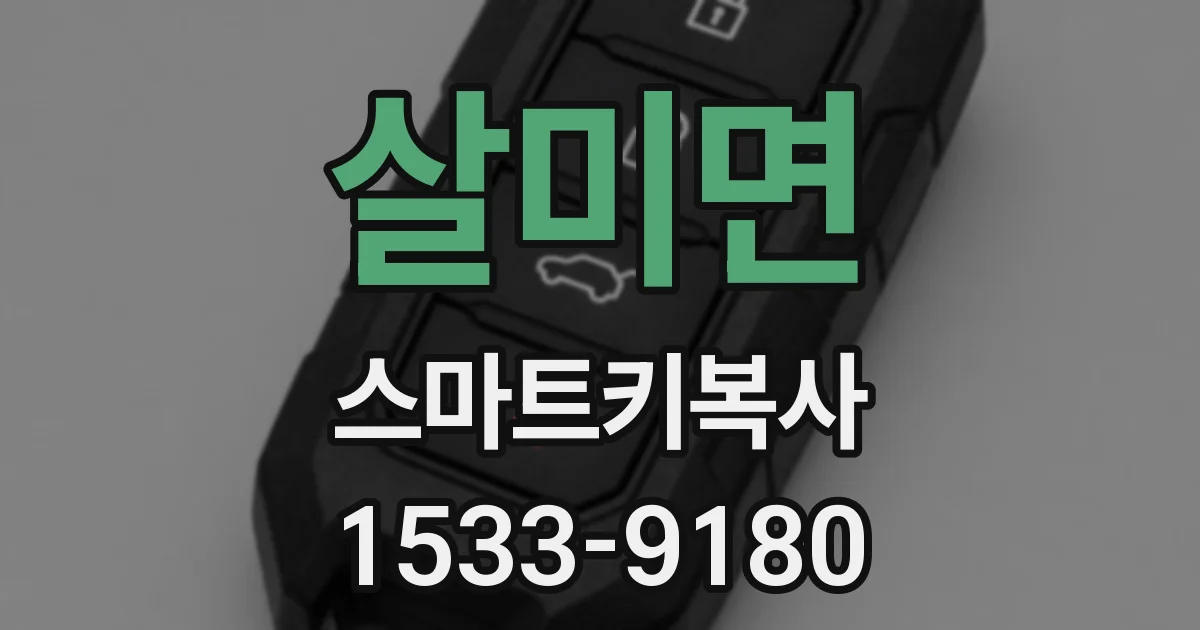 살미면 스마트키복사