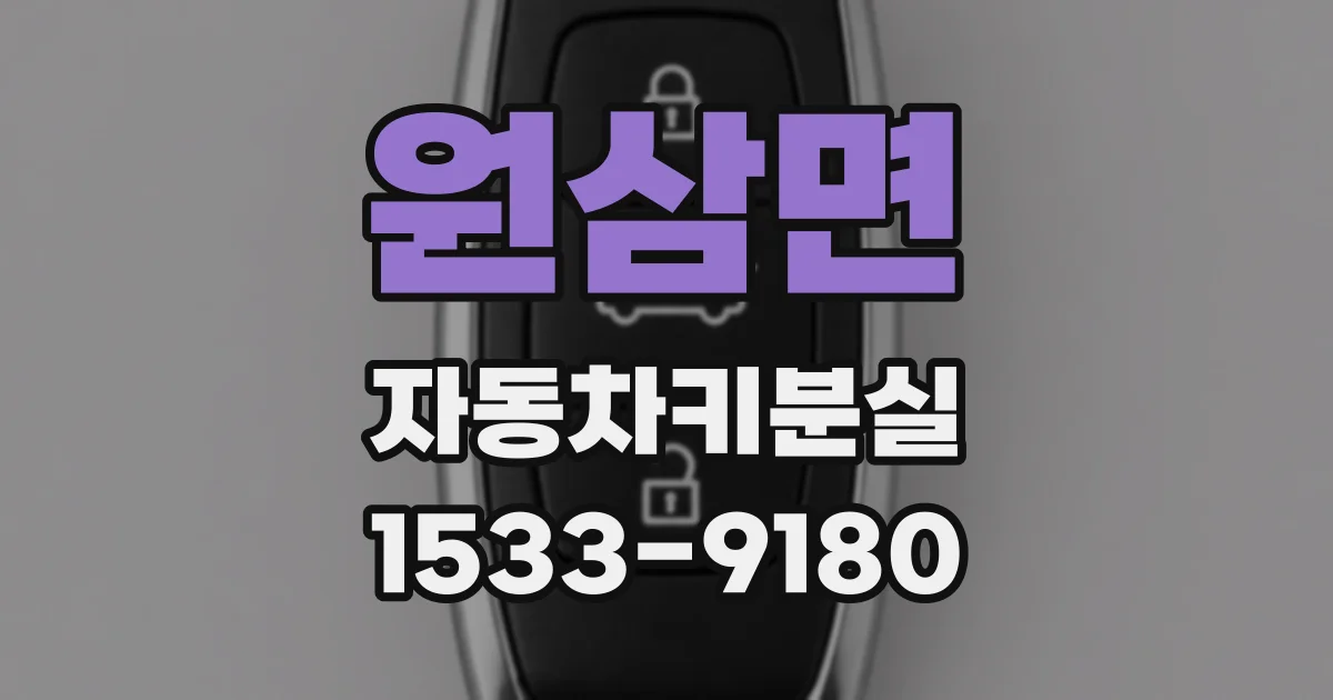 원삼면 자동차키분실