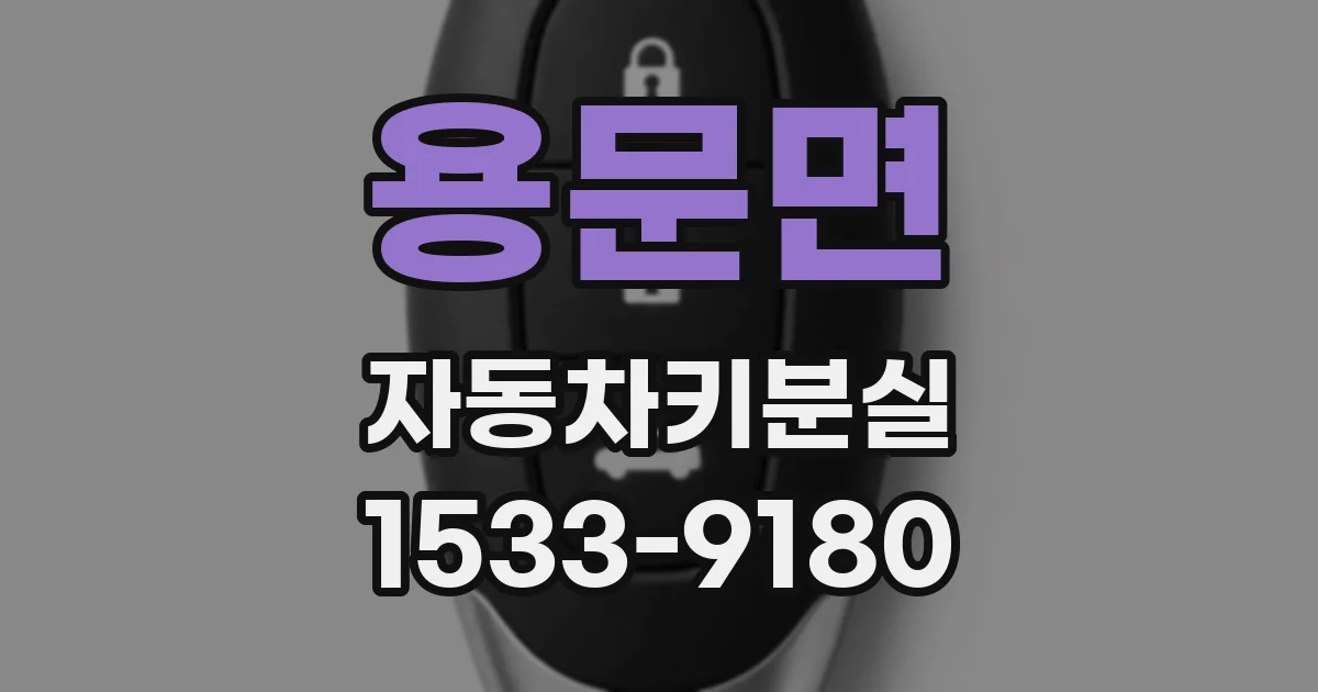 용문면 자동차키분실