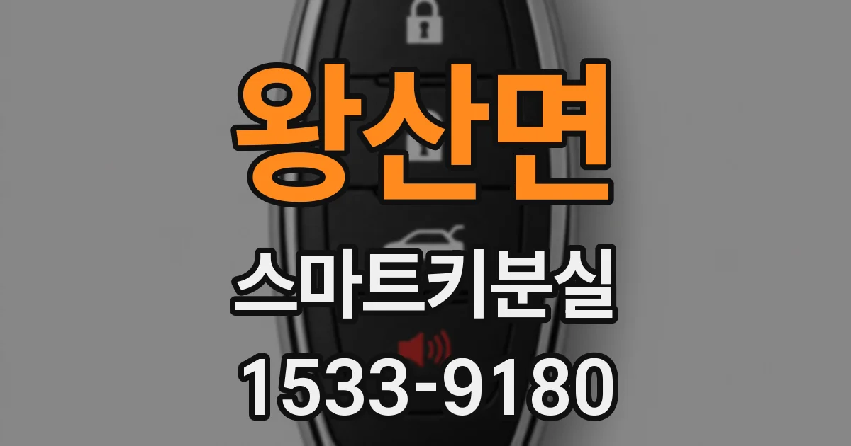 왕산면 스마트키분실