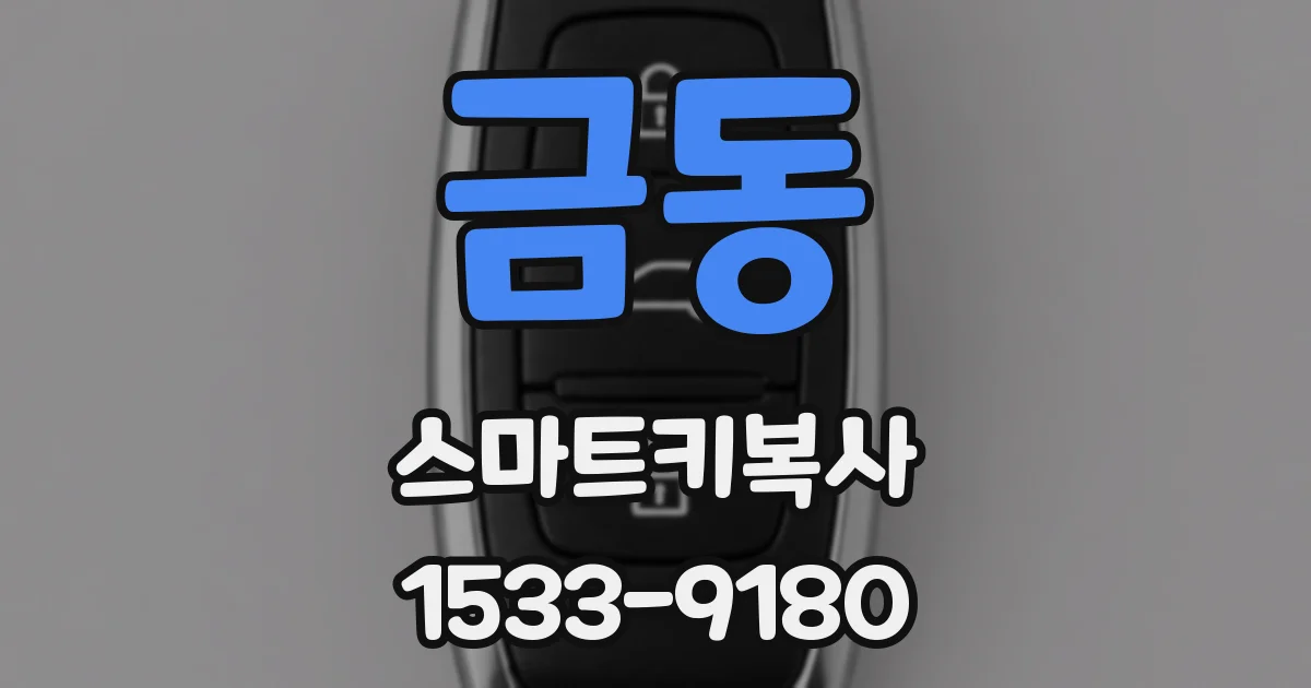 금동 스마트키복사