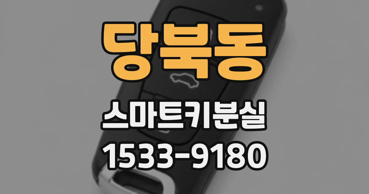 당북동 스마트키분실