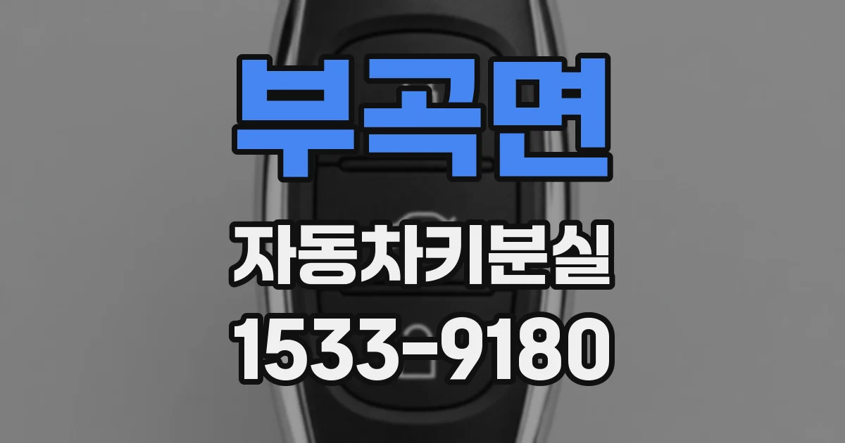부곡면 자동차키분실