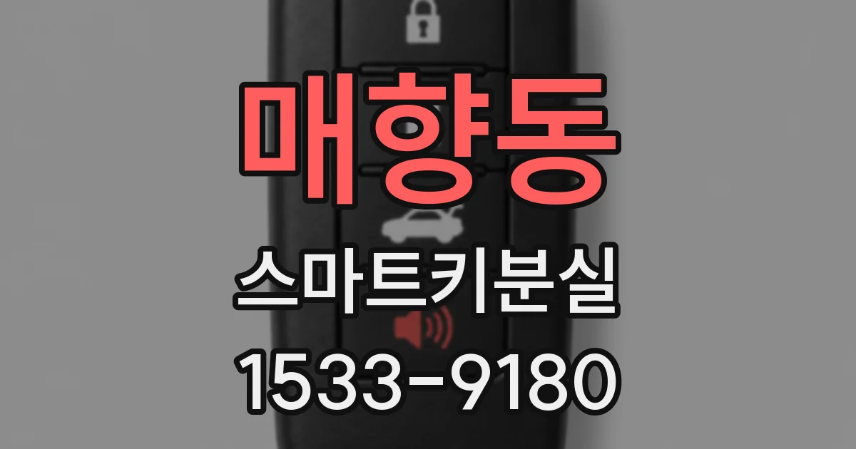 매향동 스마트키분실