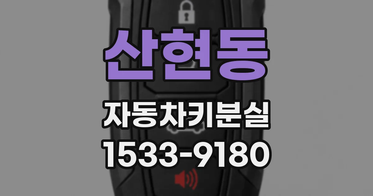 산현동 자동차키분실