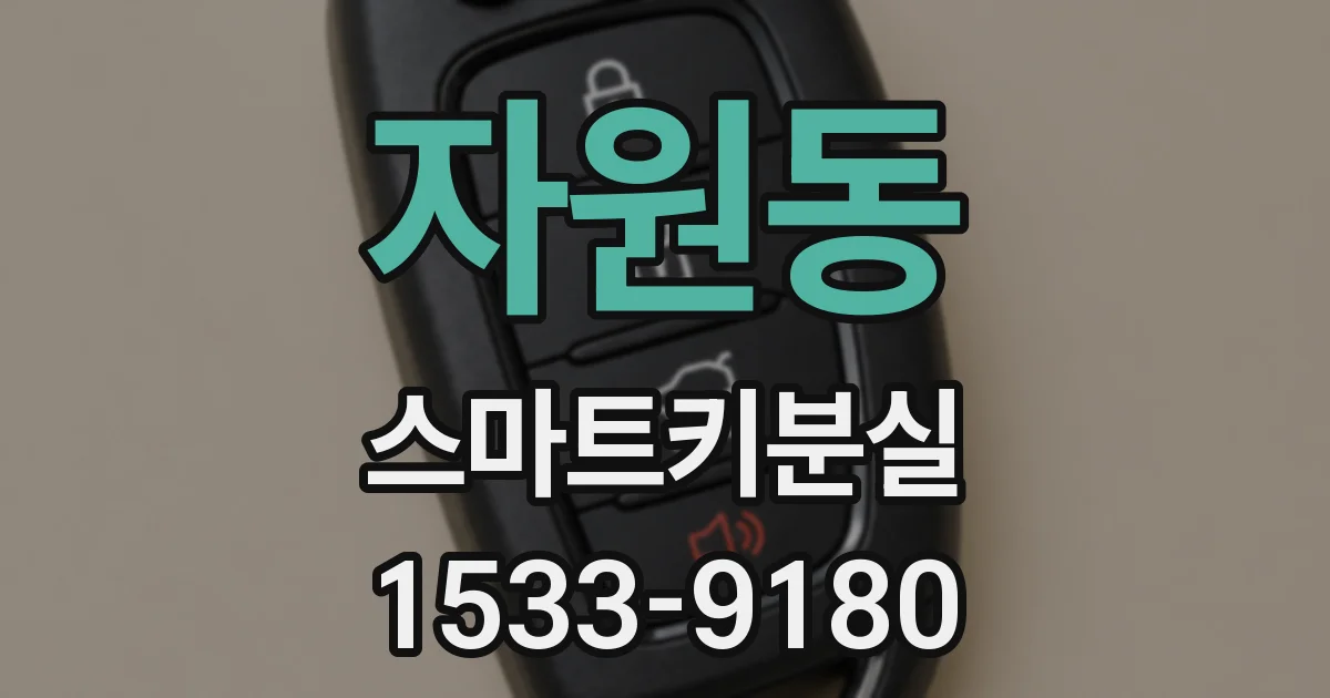자원동 스마트키분실