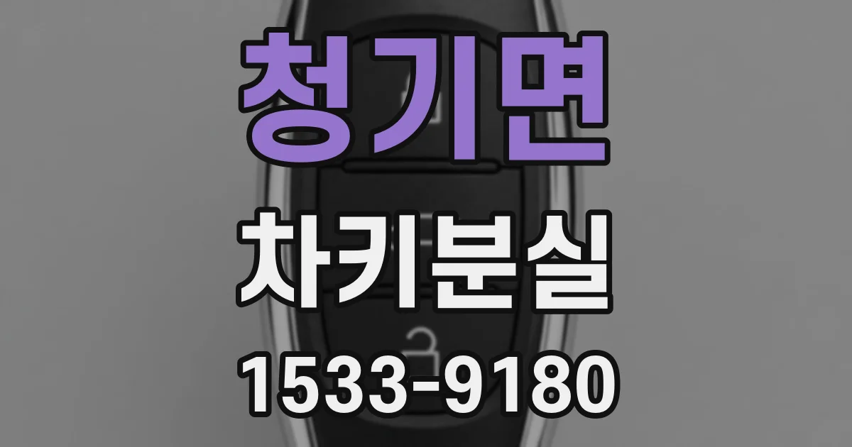 청기면 차키분실