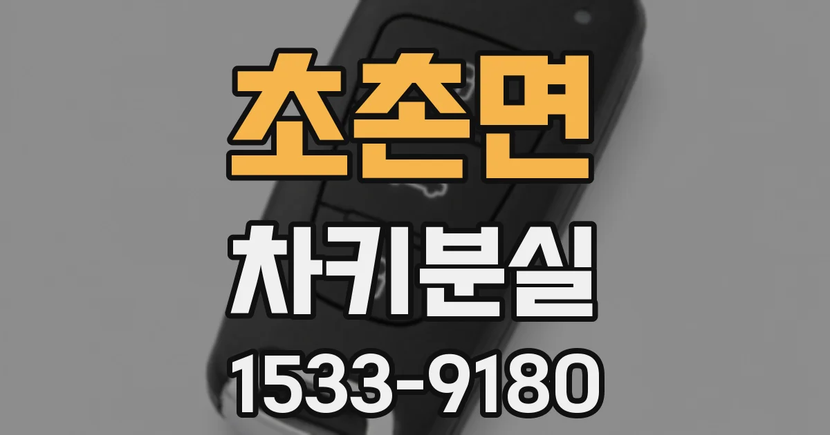 초촌면 차키분실