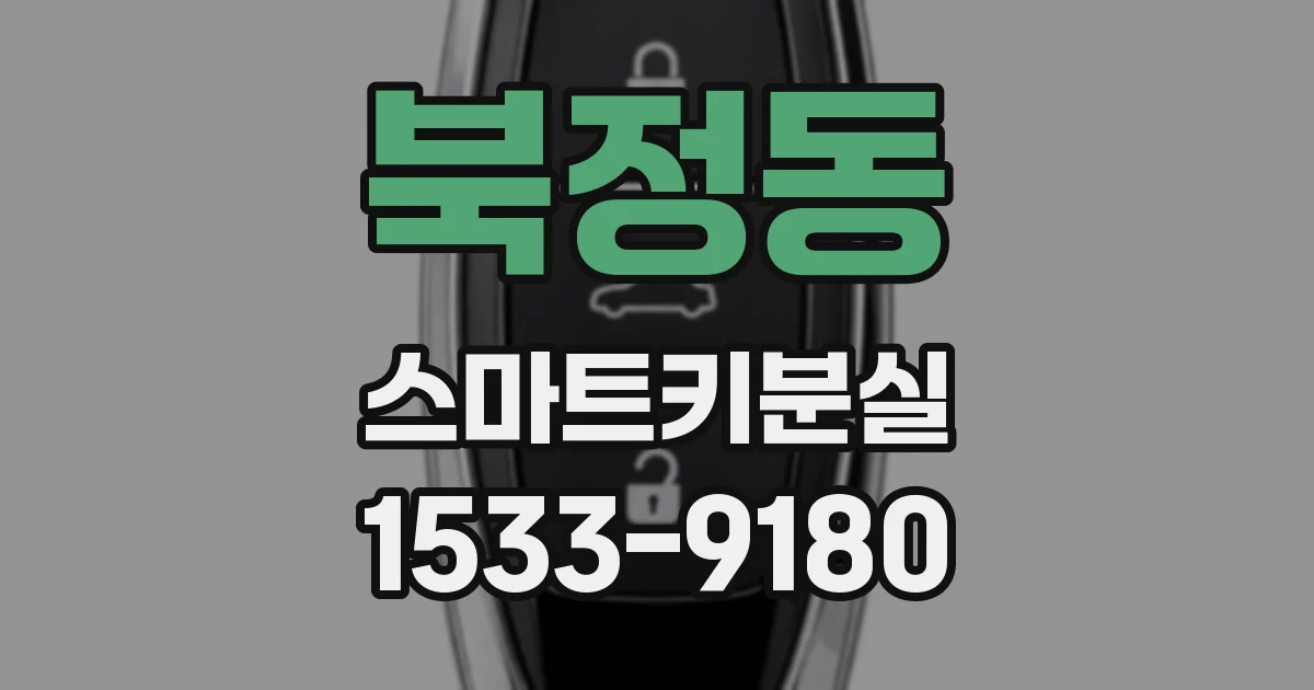 북정동 스마트키분실