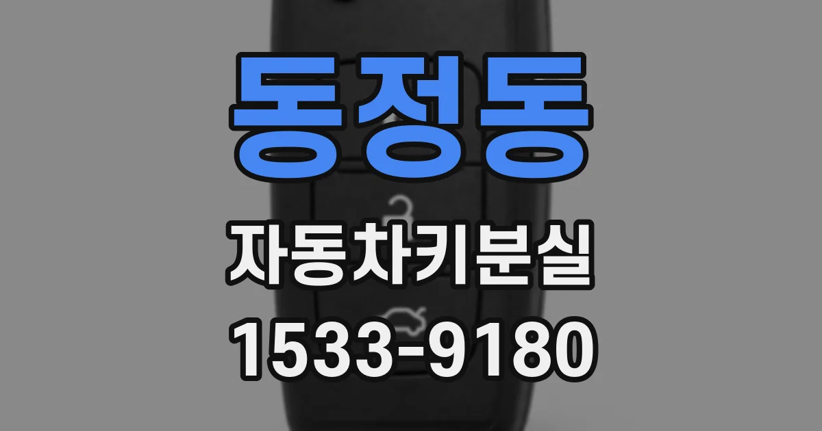동정동 자동차키분실