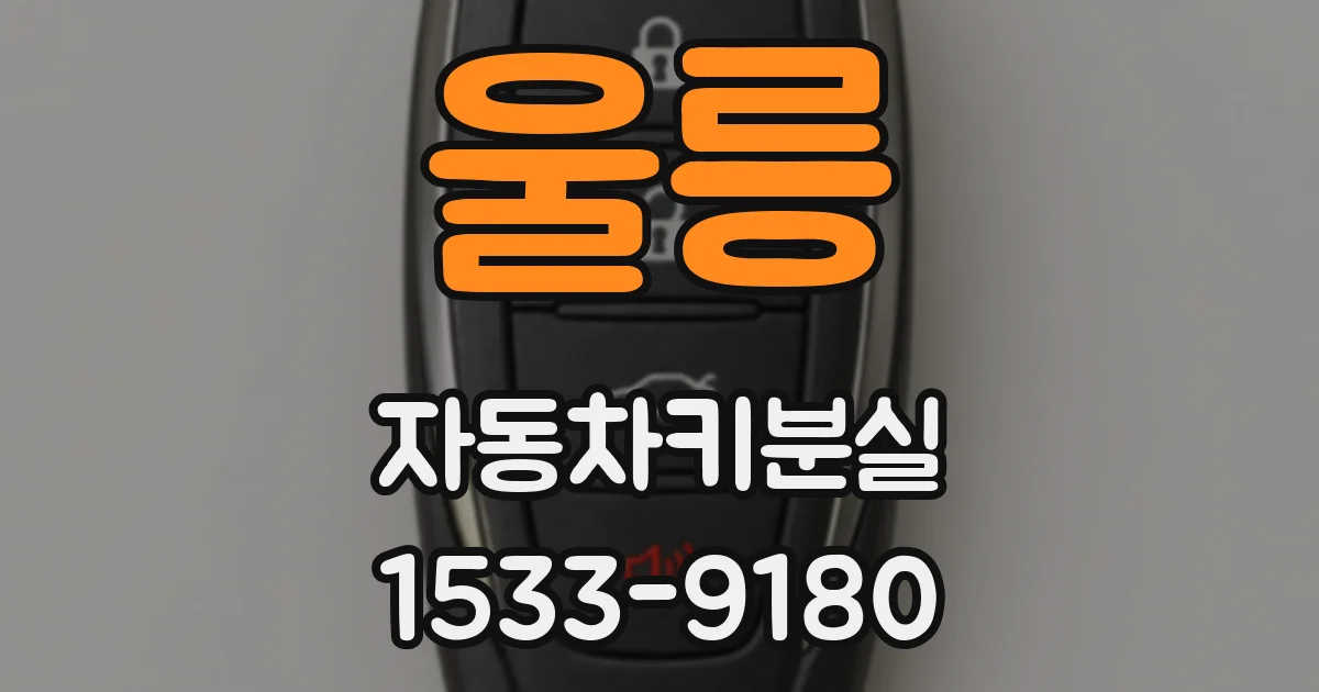 울릉 자동차키분실