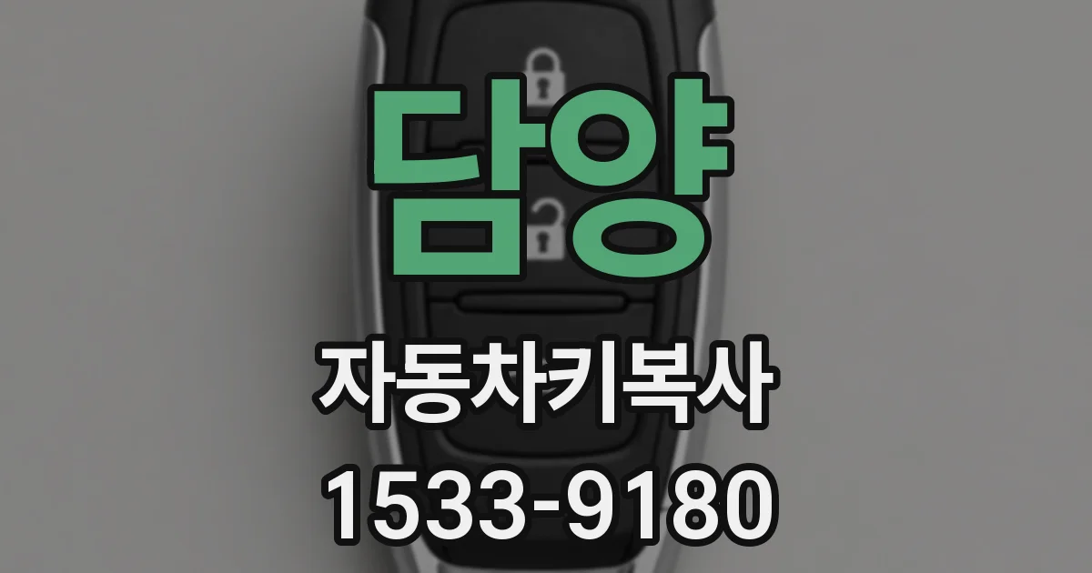 담양 자동차키복사