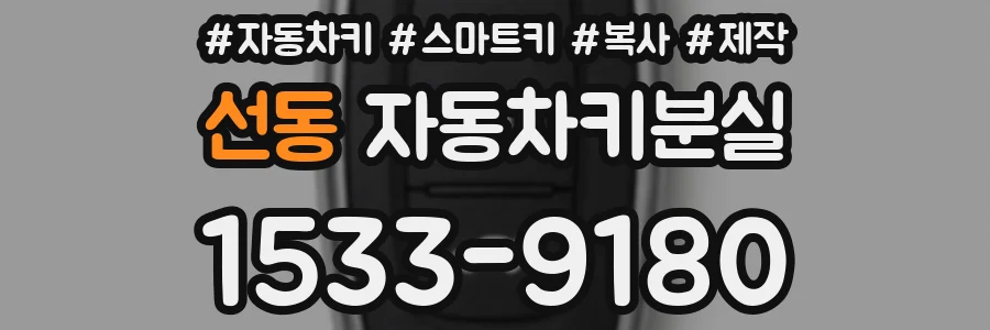 선동 자동차키분실