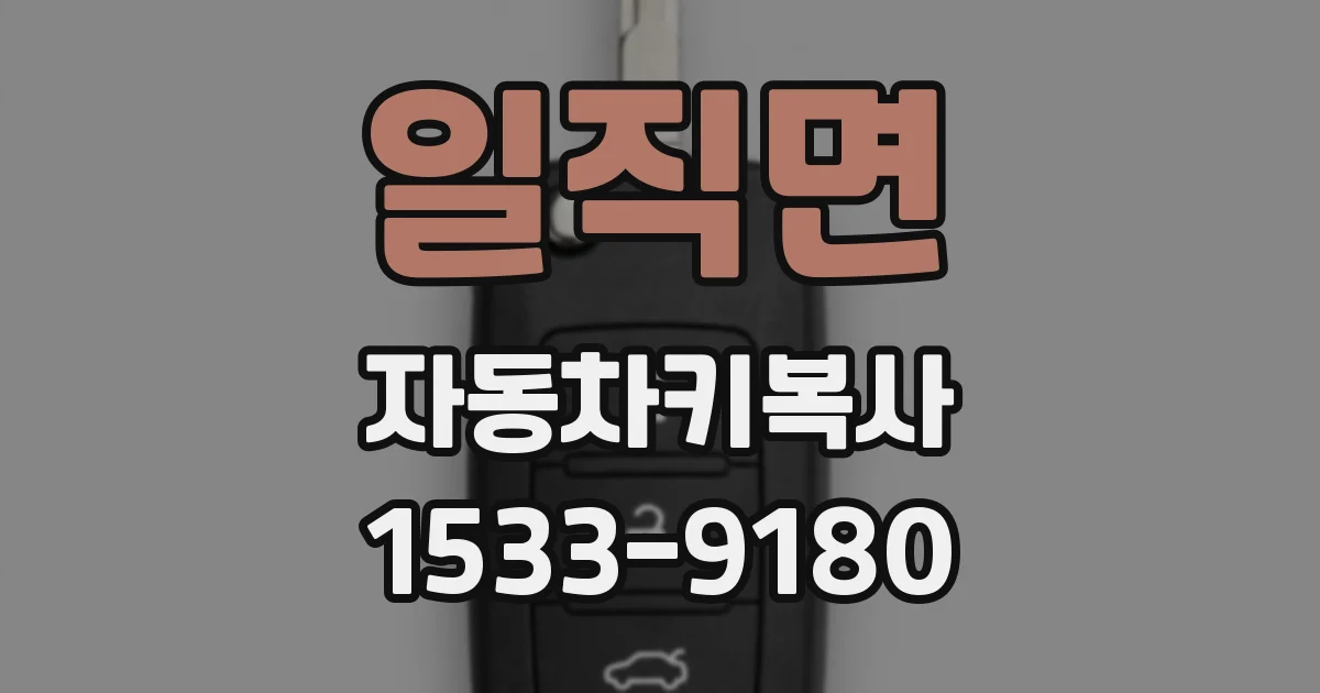 일직면 자동차키복사