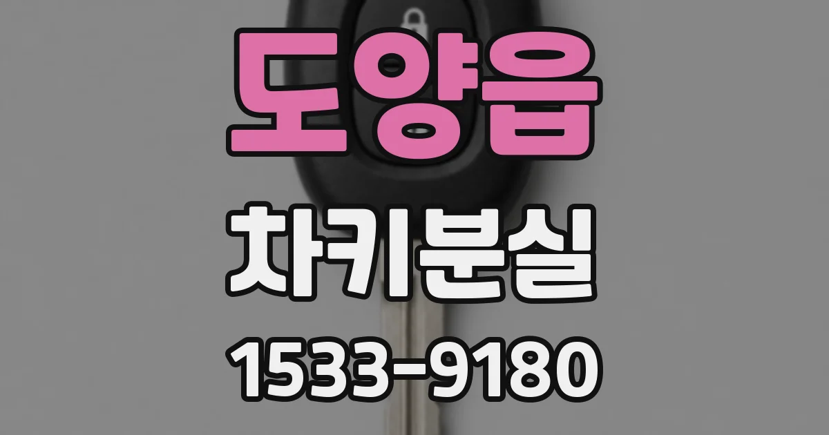 도양읍 차키분실