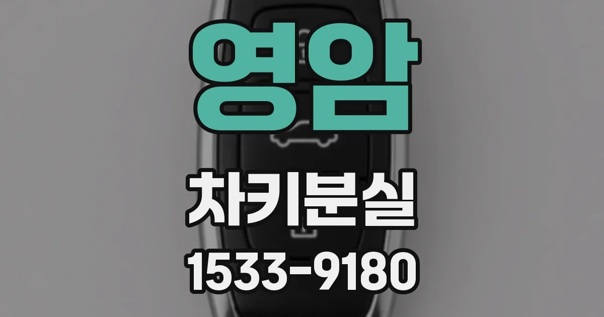 영암 차키분실