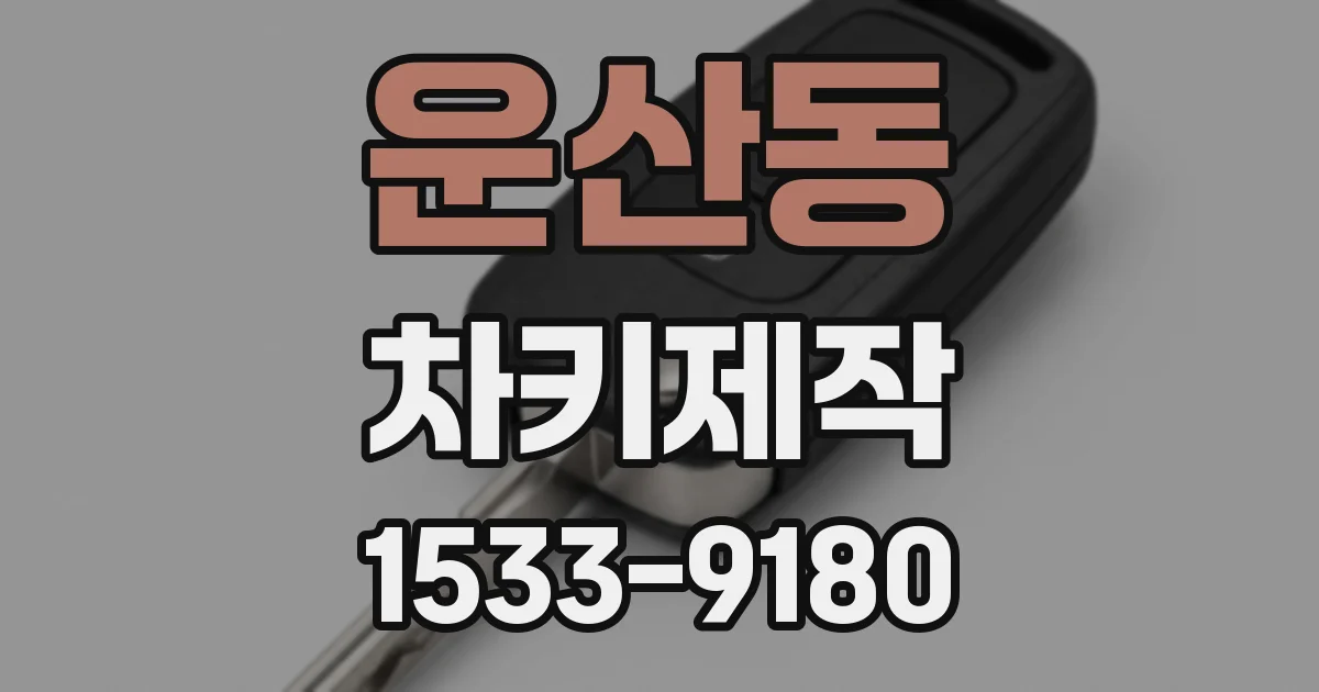 운산동 차키제작