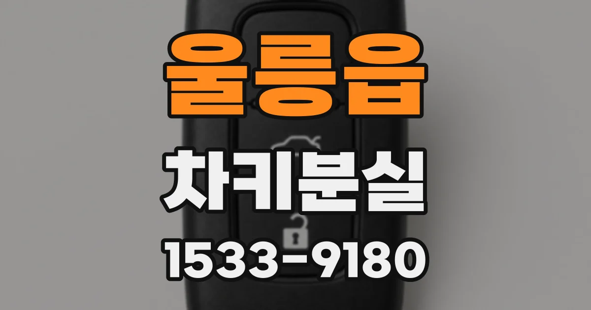 울릉읍 차키분실