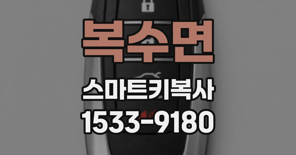 복수면 스마트키복사