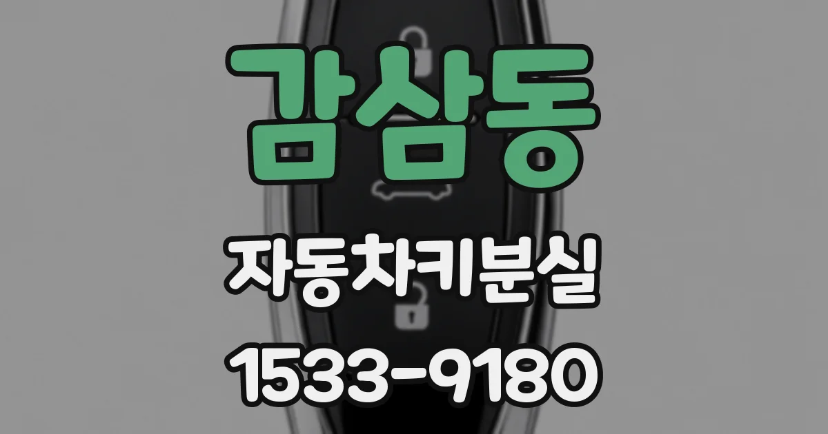감삼동 자동차키분실