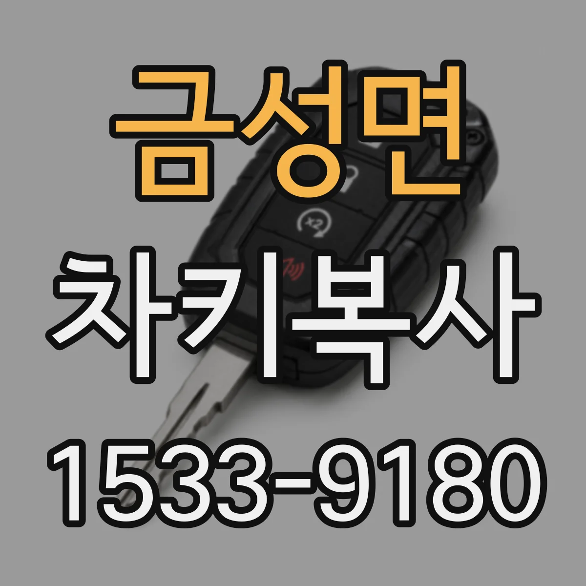 금성면 차키복사
