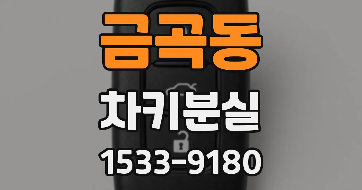 금곡동 차키분실