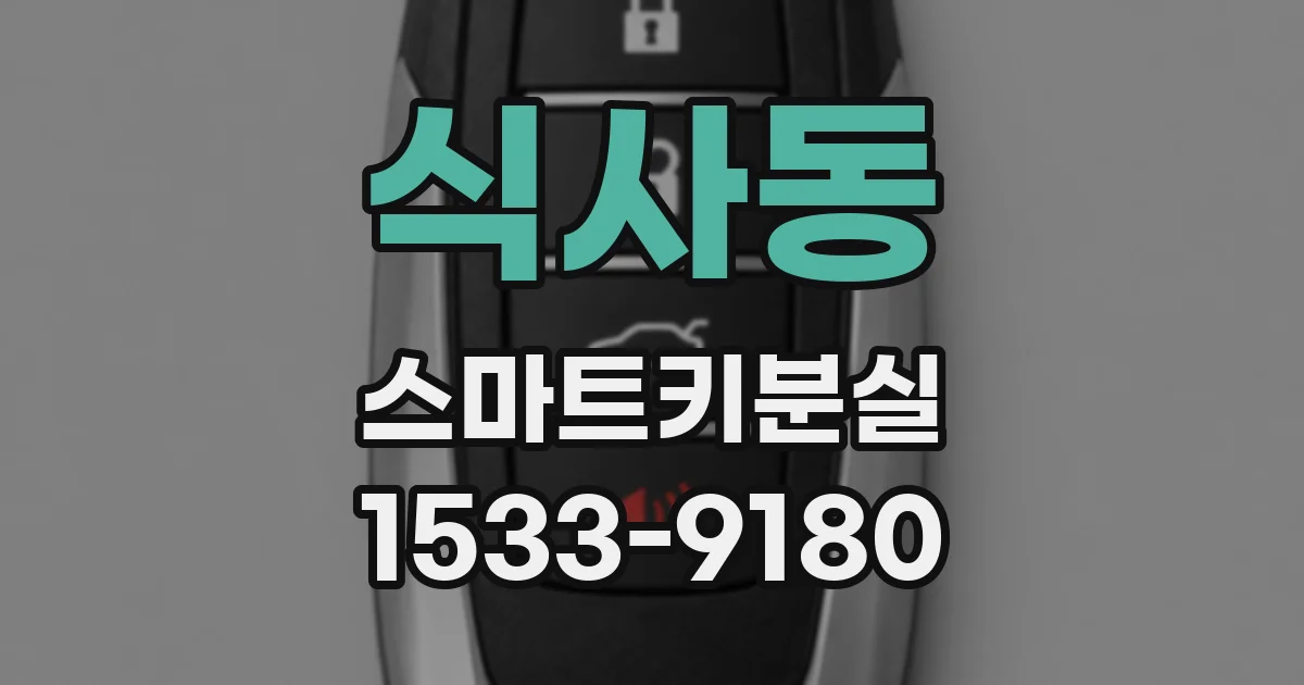 식사동 스마트키분실