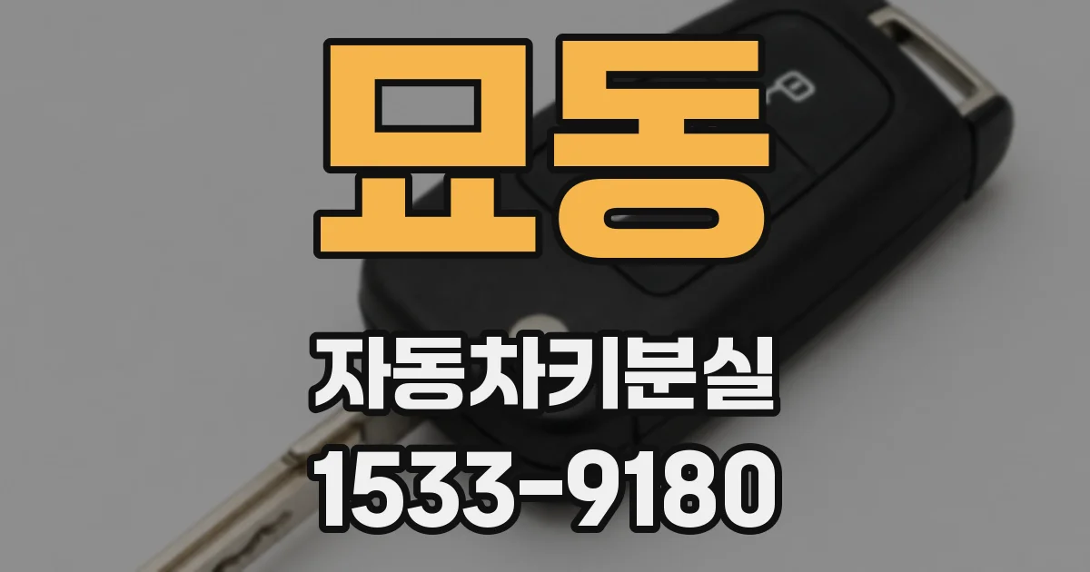 묘동 자동차키분실