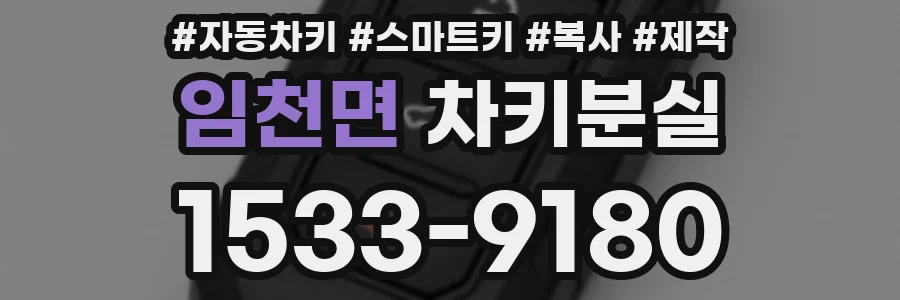 임천면 차키분실
